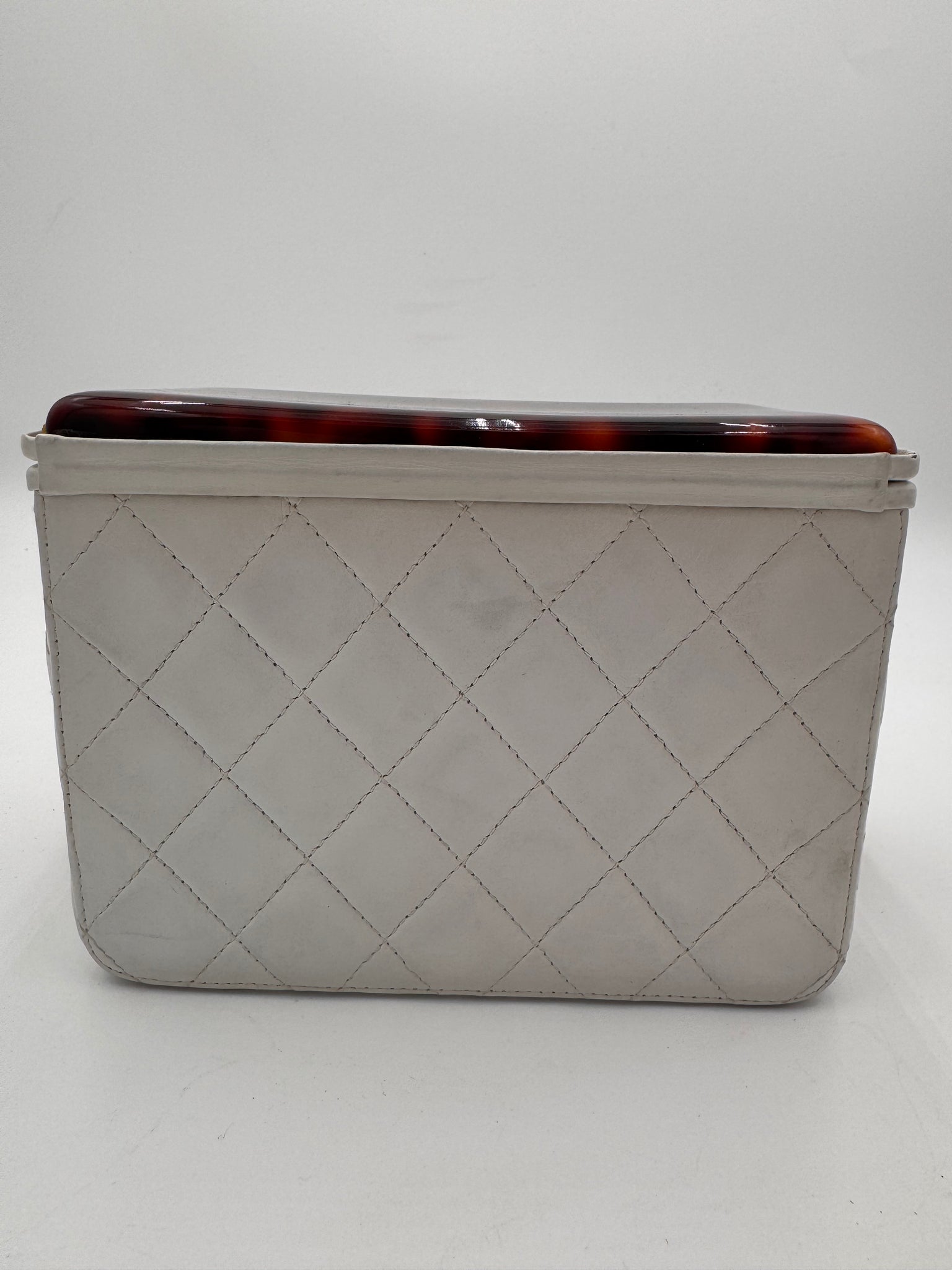 CHANEL Tortoise Box Bag