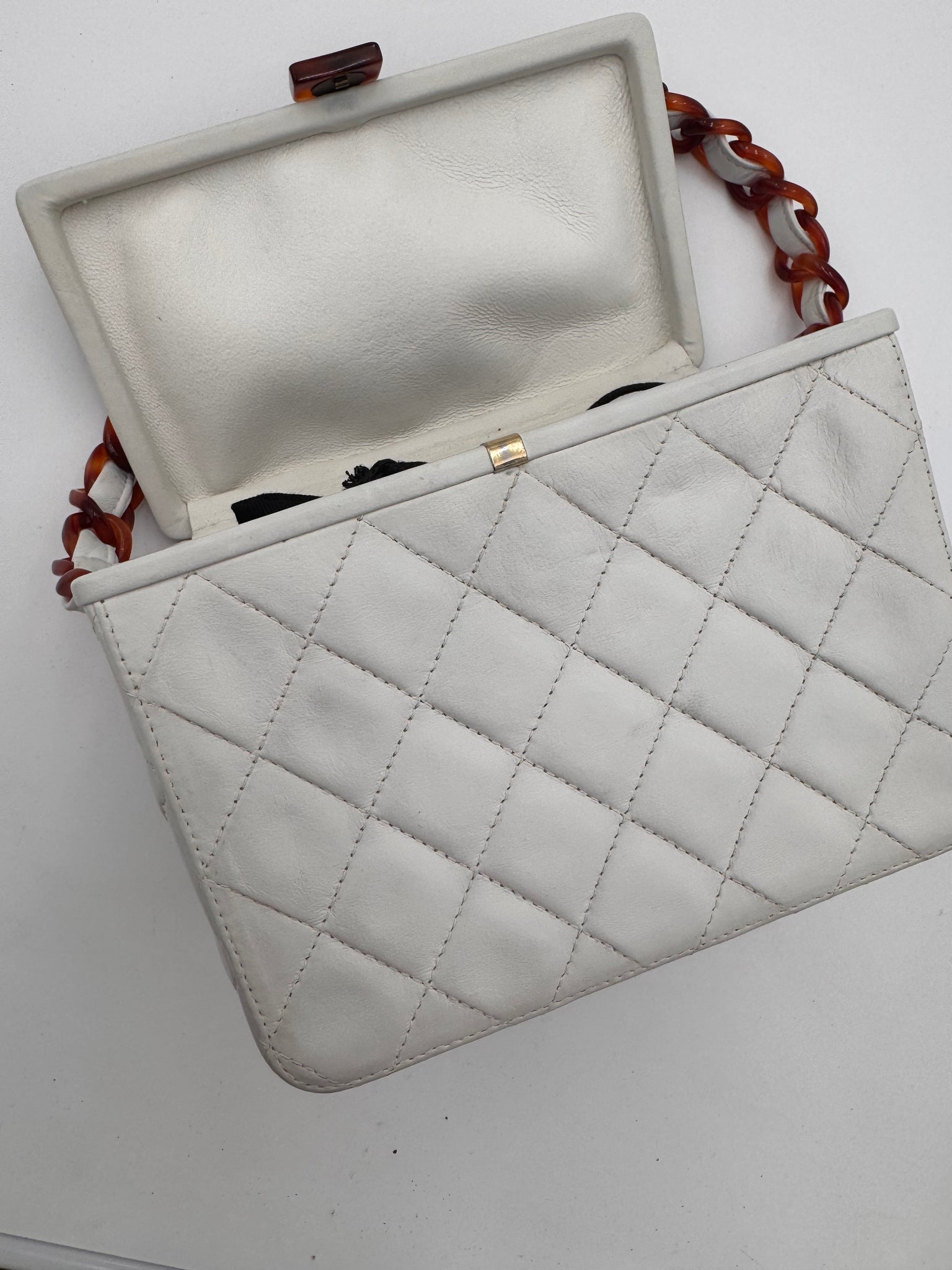 CHANEL Tortoise Box Bag